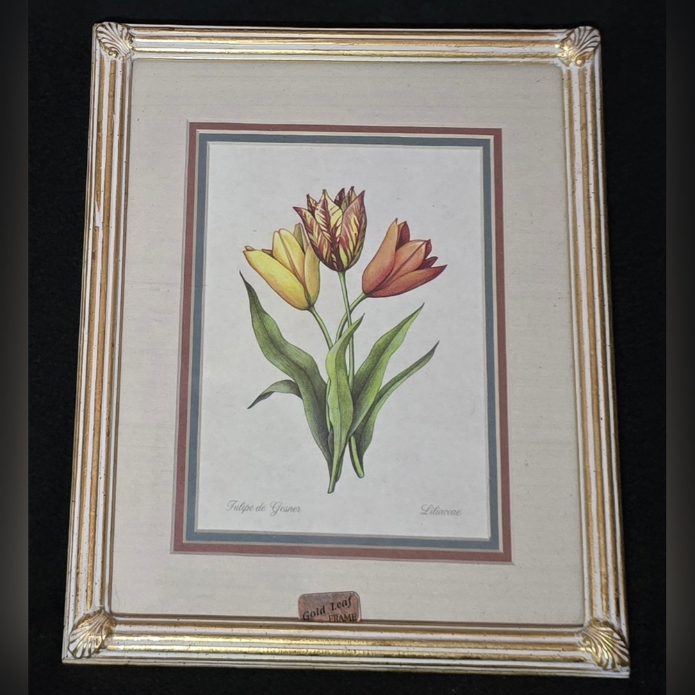 Set of Flower Art in Gold Leaf Frame